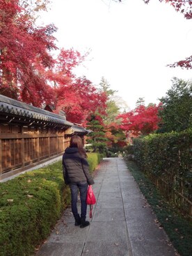 みさとさん（レディース・157cm）の秋コーディネート