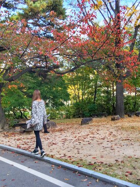 Alisa茜尹さんのコーディネート