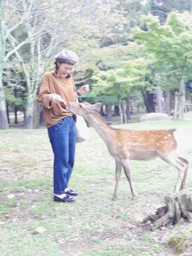 aさん（レディース・160cm）の秋コーディネート