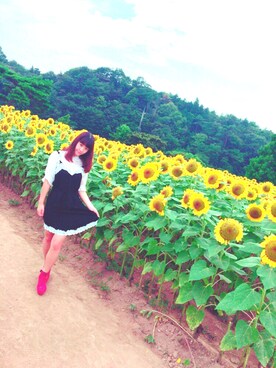 せいらいおんさんのコーディネート