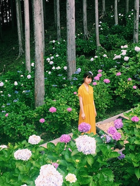 みんさんのコーディネート