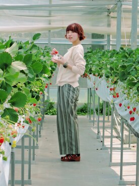 moyoさんのコーディネート