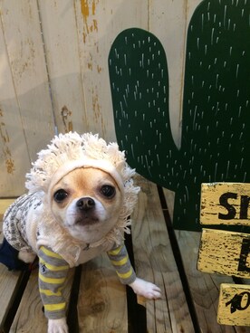 chumさん（レディース・155cm）の夏コーディネート