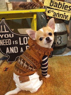 chumさん（レディース・155cm）の夏コーディネート