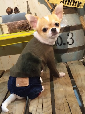 chumさんのコーディネート