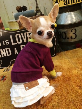 chumさんのコーディネート