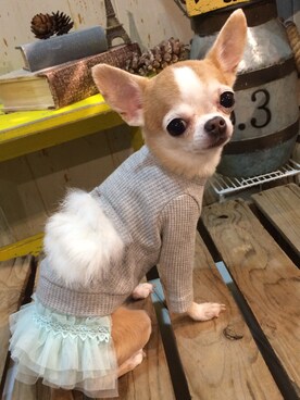 chumさんのコーディネート