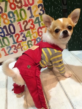 chumさんのコーディネート