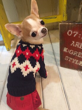 chumさんのコーディネート