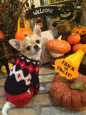 chumさんのコーディネート