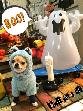 chumさんのコーディネート