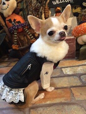 chumさんのコーディネート