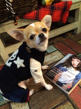 chumさんのコーディネート