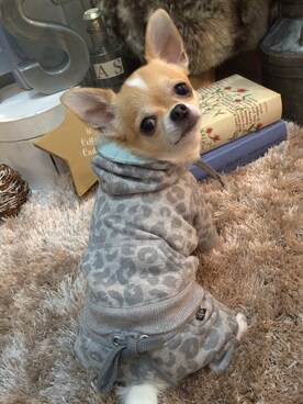 chumさんのコーディネート