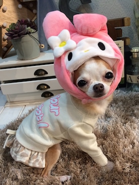 chumさんのコーディネート