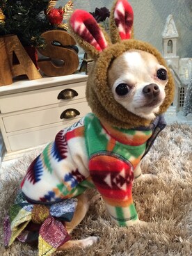 chumさんのコーディネート