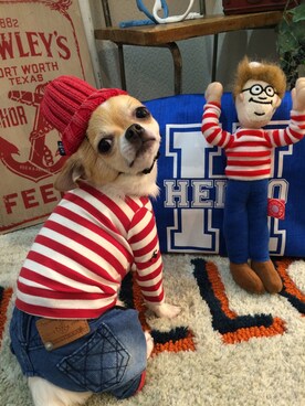 chumさんのコーディネート