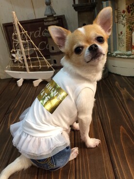 chumさんのコーディネート