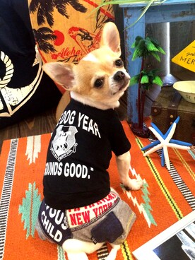 chumさんのコーディネート