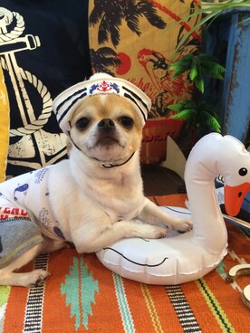 chumさんのコーディネート