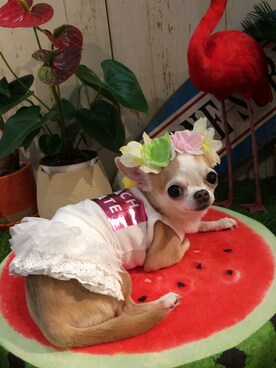 chumさんのコーディネート