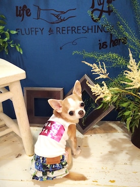 chumさんのコーディネート