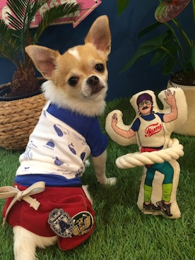 chumさんのコーディネート