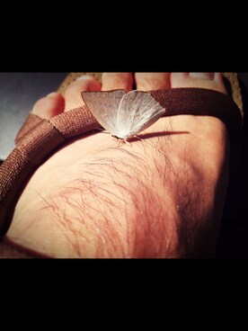 SyyyyyOさんのコーディネート