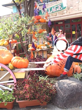 ｺﾈﾘさん（レディース・157cm）の秋コーディネート