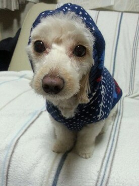 maさんのコーディネート