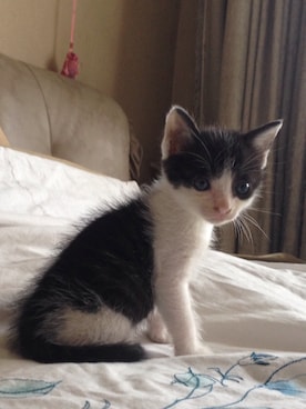 hsingyeonさんのコーディネート