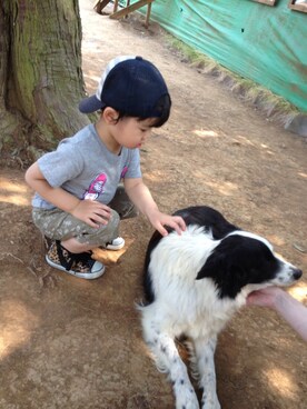 ちむさんのコーディネート