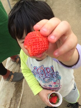 ちむさんのコーディネート