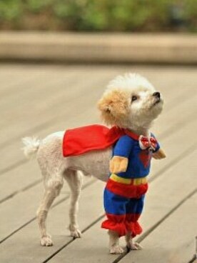 enjoy lifeさんのコーディネート