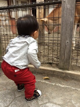 ゆいPさんのコーディネート