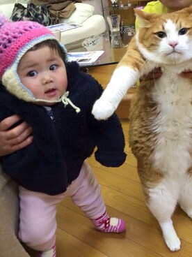「猫」｜「アイテム（その他アウター）」を使った、NoE&Yaさん（キッズ・70cm）の春コーディネート