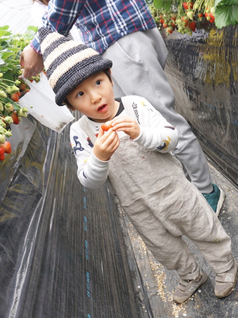 「takk_、ハンドメイド、handmade、bobochoses」｜「Handmadeのアイテム（サロペット/オーバーオール、ベージュ系）」を使った、@bunbunさん（キッズ・100cm）の春コーディネートの1枚目の写真