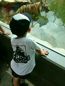 takiaaaaaoさん(キッズ・110cm)の夏コーディネート