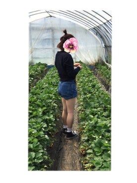 129さんのコーディネート