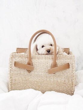 かごバッグを使った 犬 の人気ファッションコーディネート Wear