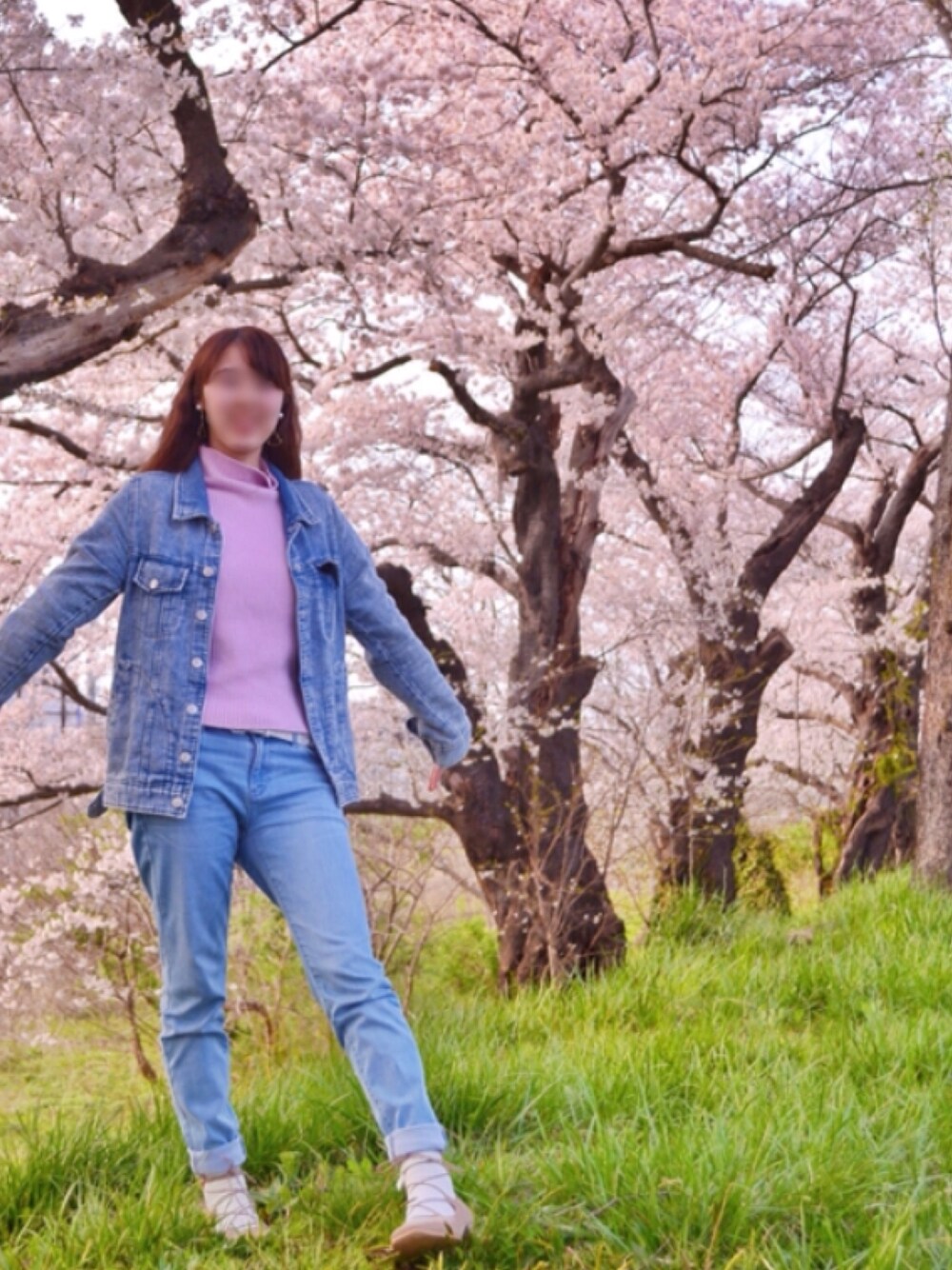 「桜、一眼レフ、ピンク、デニム、デニムパンツ、デニムオンデニム、デニムジャケット」｜「ANNAHLのアイテム（ニット/セーター、パープル系）」を使った、Kanaさん（レディース・161cm）の春コーディネートの1枚目の写真