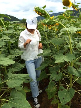 文藝胖さんのコーディネート