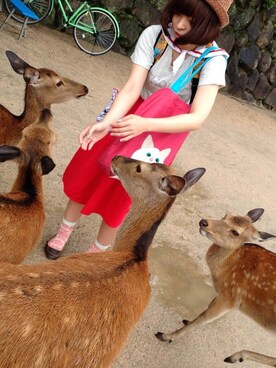 あれはさんのコーディネート