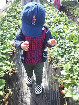 りんごぼうやさんのコーディネート