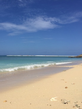 tksさんのコーディネート