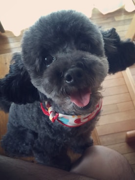 kytg1123さんのコーディネート