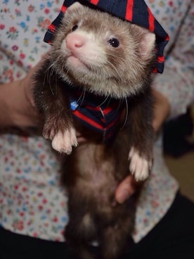 かずやさんのコーディネート