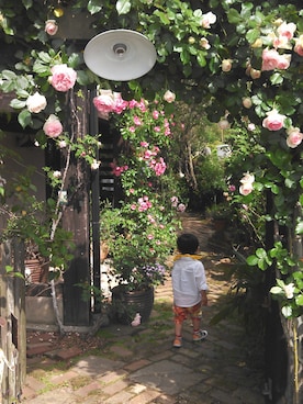 ikuma さんのコーディネート