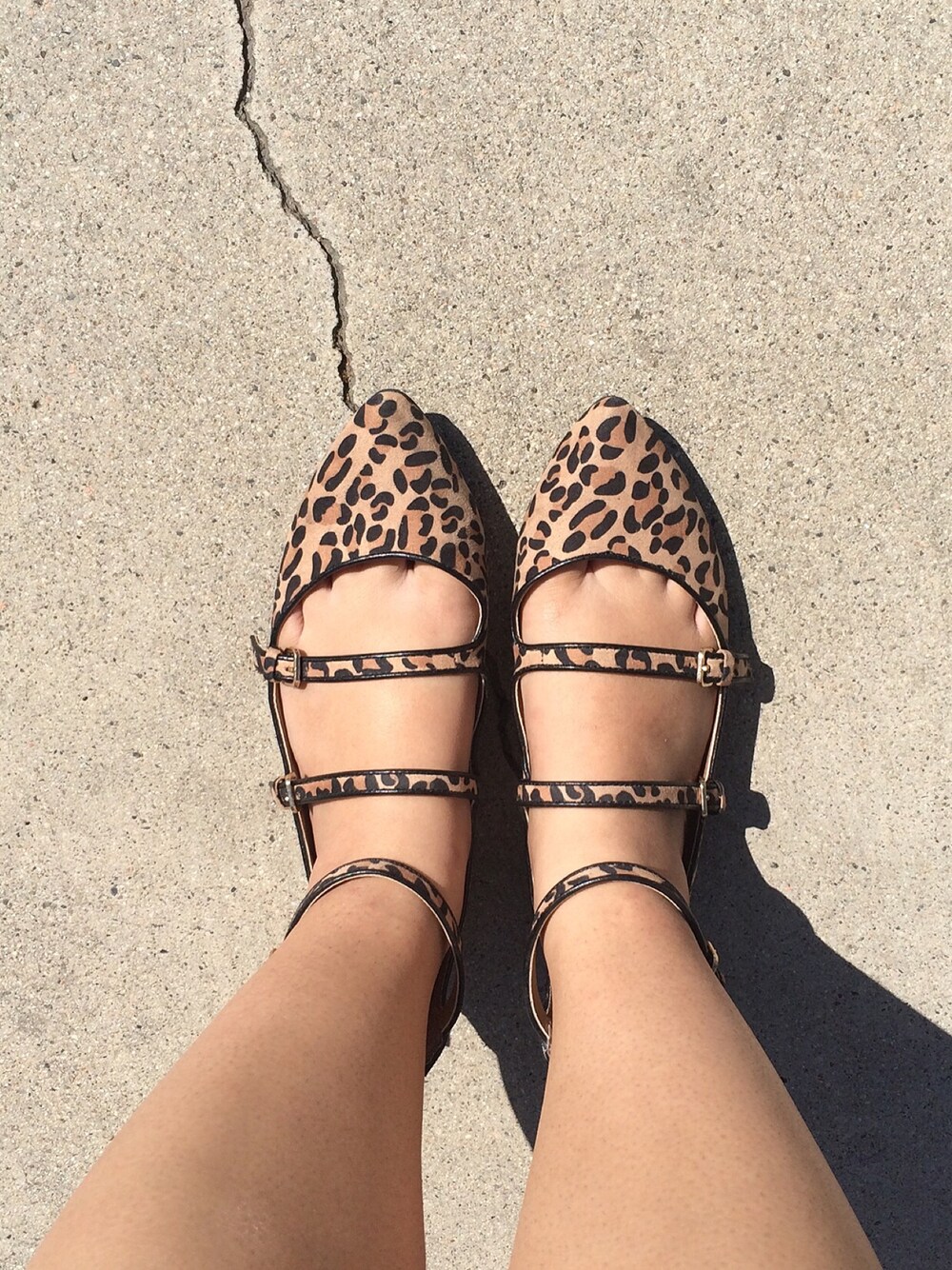 「Ilovemyflats_TBrand、leopard、flatshoes、fromwhereistand」｜「Targetのアイテム（バレエシューズ、その他）」を使った、ALYSSAさん（レディース・153cm）の秋コーディネートの1枚目の写真
