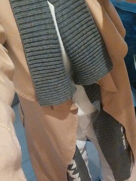 Goriちゃんさんのコーディネート